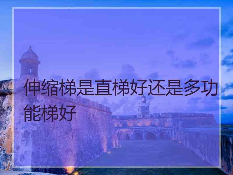 伸缩梯是直梯好还是多功能梯好 伸缩梯是直梯好还是多功能梯好