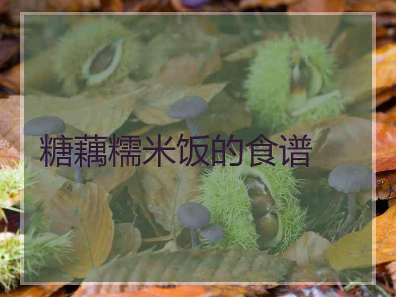 糖藕糯米饭的食谱 糖藕糯米饭的食谱