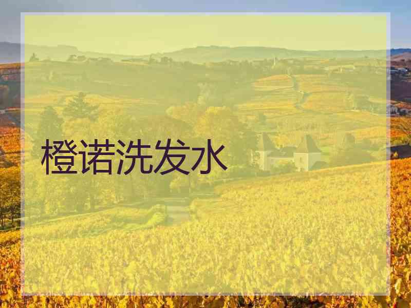 橙诺洗发水 橙诺洗发水