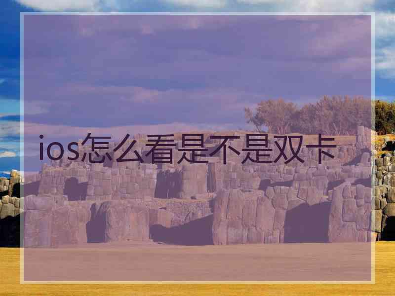 ios怎么看是不是双卡 ios怎么看是不是双卡