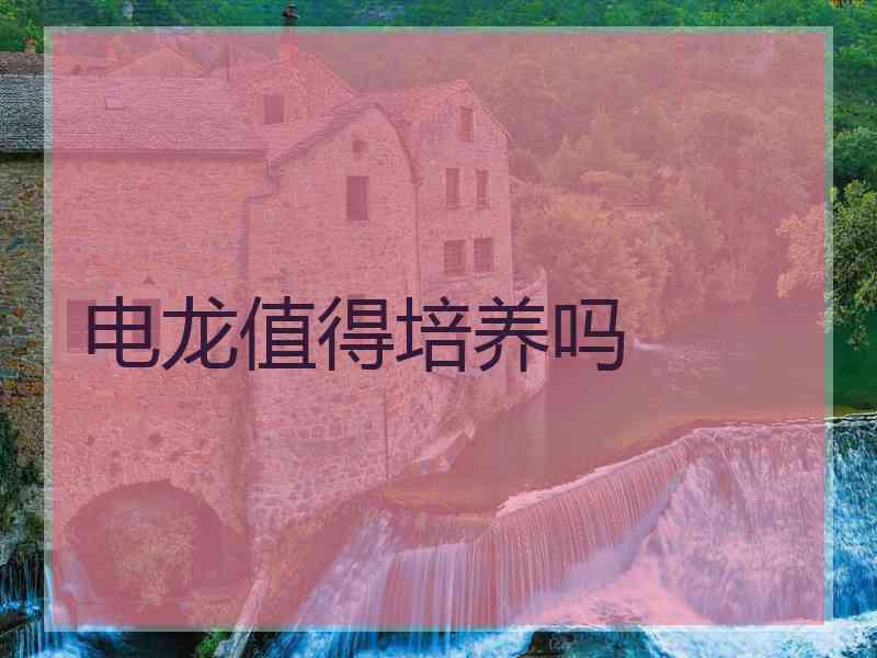 电龙值得培养吗 电龙值得培养吗