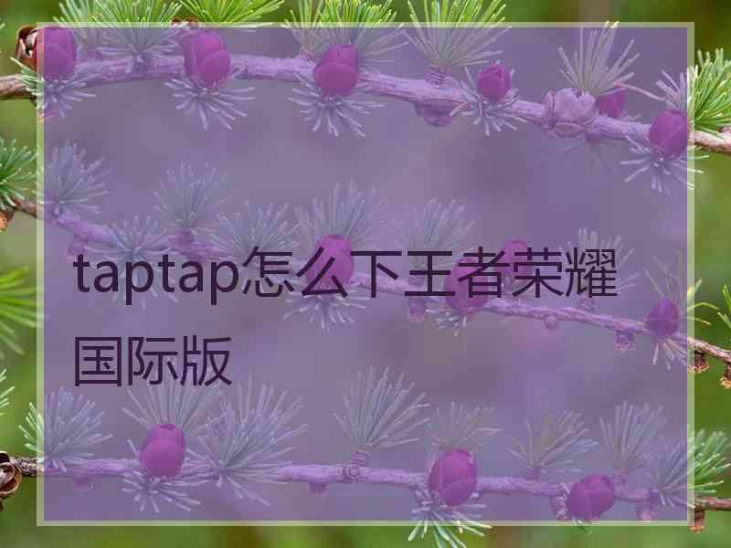 taptap怎么下王者荣耀国际版 taptap怎么下王者荣耀国际版
