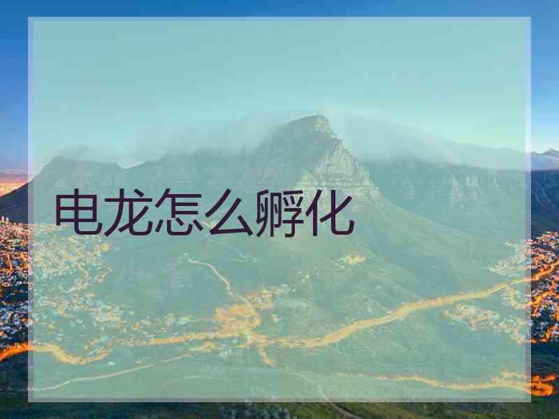 电龙怎么孵化 电龙怎么孵化