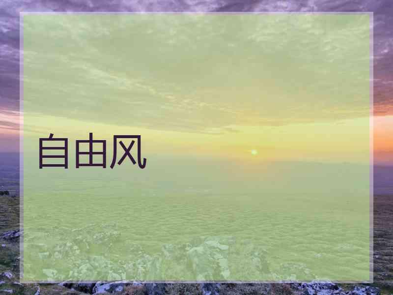 自由风 自由风