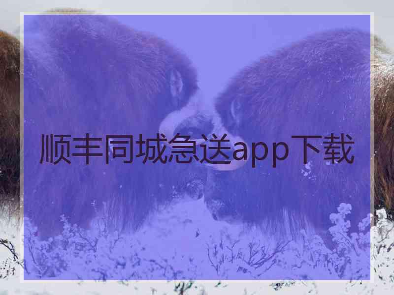 顺丰同城急送app下载 顺丰同城急送app下载