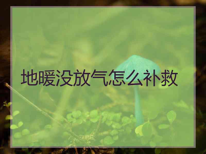 地暖没放气怎么补救 地暖没放气怎么补救