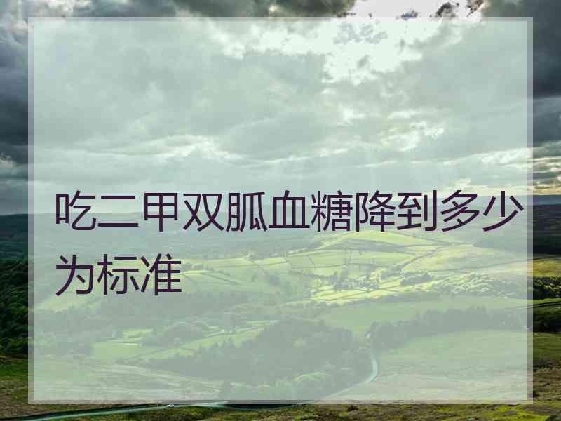 吃二甲双胍血糖降到多少为标准 吃二甲双胍血糖降到多少为标准