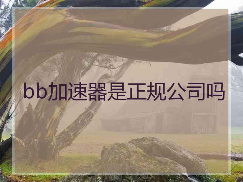 bb加速器是正规公司吗 bb加速器是正规公司吗