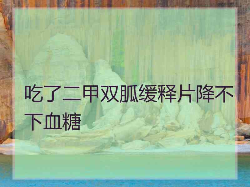 吃了二甲双胍缓释片降不下血糖 吃了二甲双胍缓释片降不下血糖