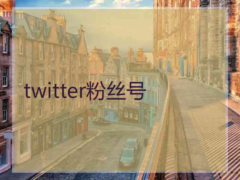 twitter粉丝号 twitter粉丝号