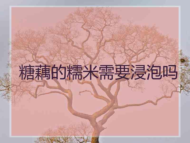 糖藕的糯米需要浸泡吗 糖藕的糯米需要浸泡吗