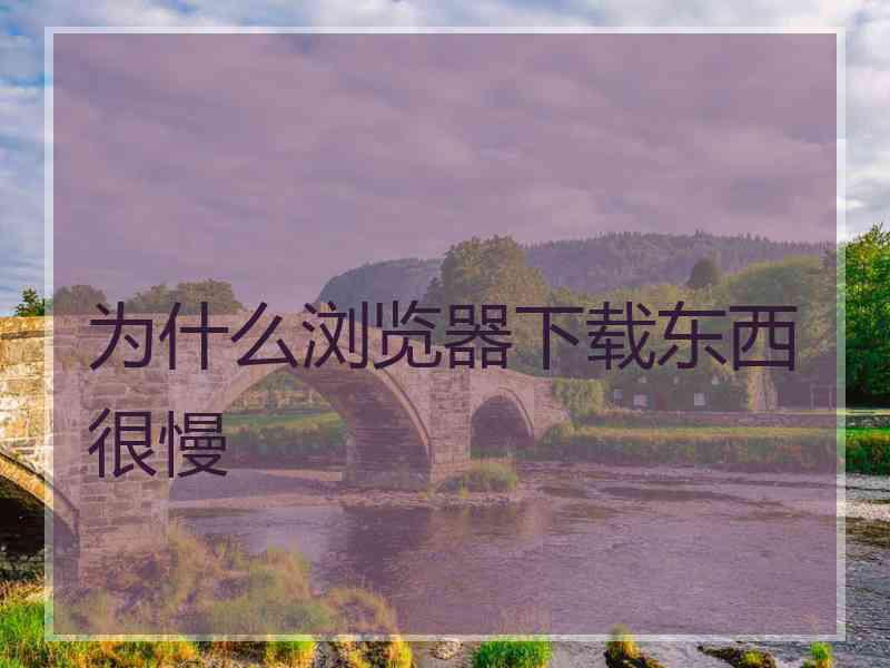 为什么浏览器下载东西很慢 为什么浏览器下载东西很慢