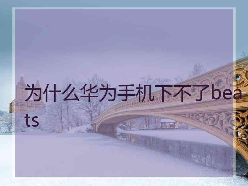 为什么华为手机下不了beats 为什么华为手机下不了beats