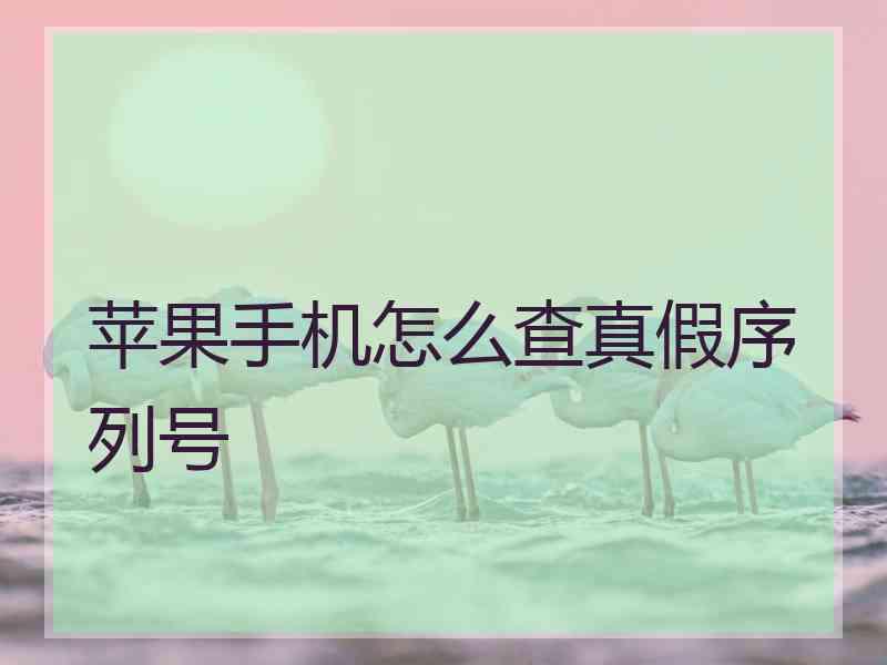 苹果手机怎么查真假序列号 苹果手机怎么查真假序列号