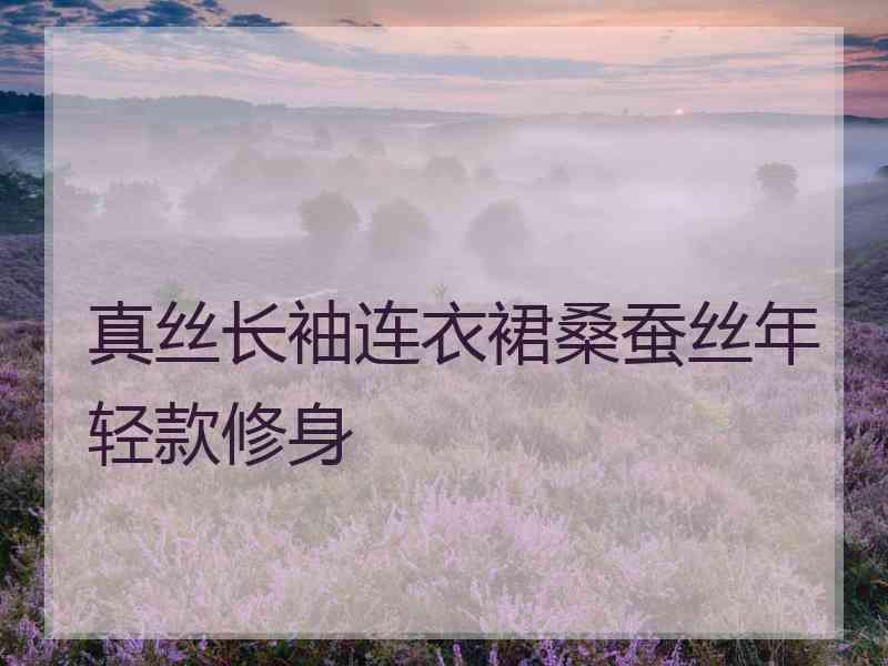 真丝长袖连衣裙桑蚕丝年轻款修身 真丝长袖连衣裙桑蚕丝年轻款修身