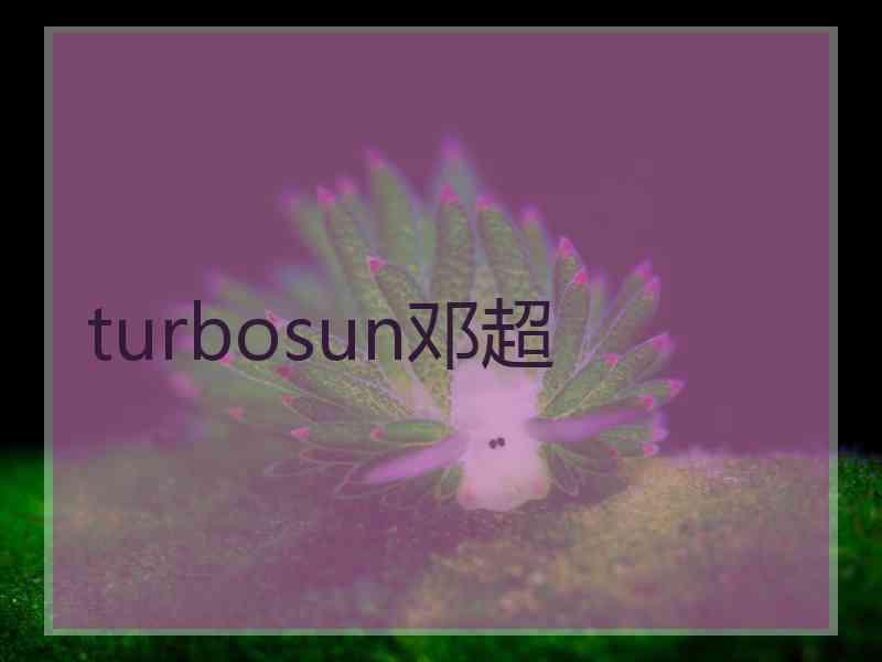 turbosun邓超 turbosun邓超