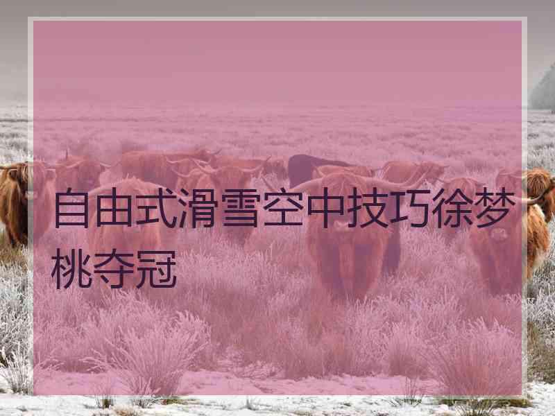 自由式滑雪空中技巧徐梦桃夺冠 自由式滑雪空中技巧徐梦桃夺冠