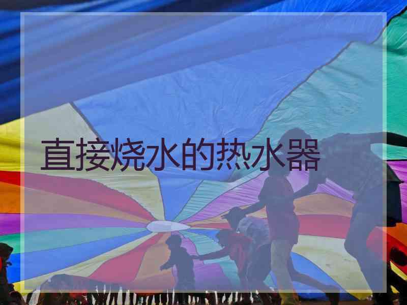 直接烧水的热水器 直接烧水的热水器
