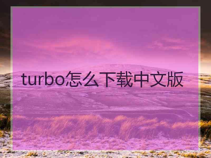 turbo怎么下载中文版 turbo怎么下载中文版