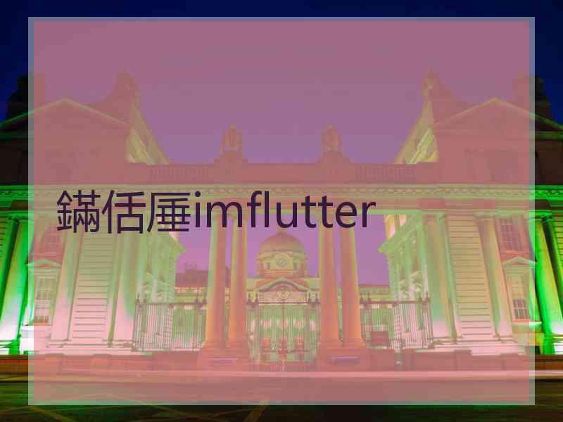 鏋佸厜imflutter 鏋佸厜imflutter