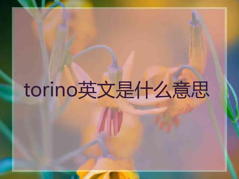 torino英文是什么意思 torino英文是什么意思