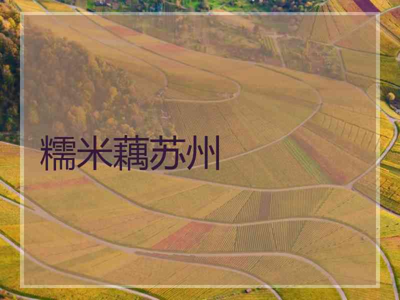 糯米藕苏州 糯米藕苏州