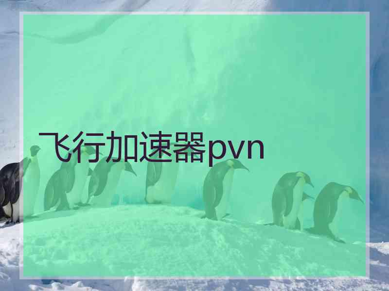 飞行加速器pvn 飞行加速器pvn