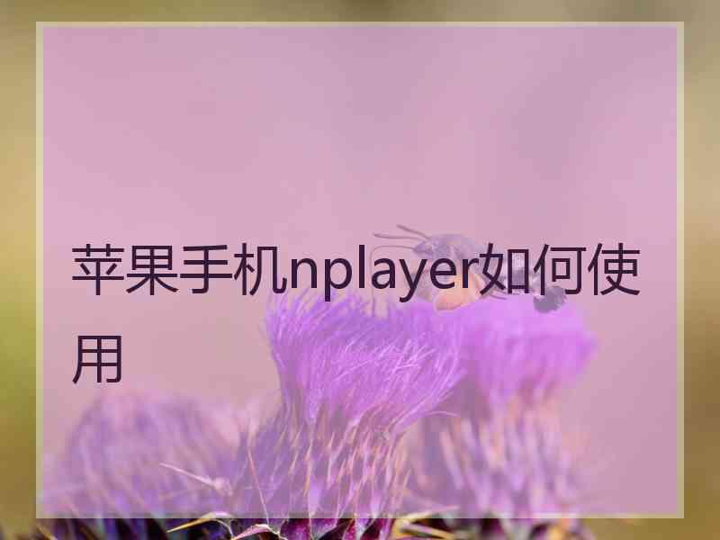 苹果手机nplayer如何使用 苹果手机nplayer如何使用