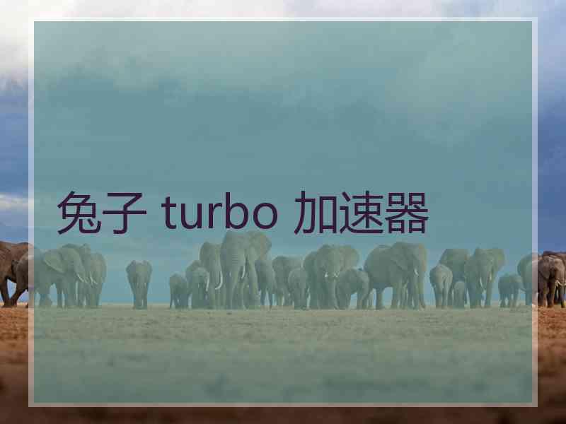 兔子 turbo 加速器 兔子 turbo 加速器