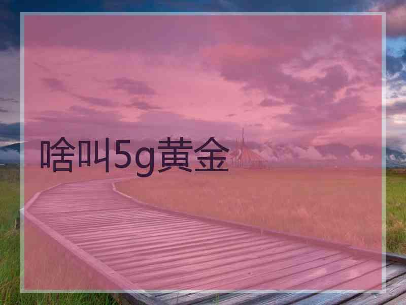 啥叫5g黄金 啥叫5g黄金