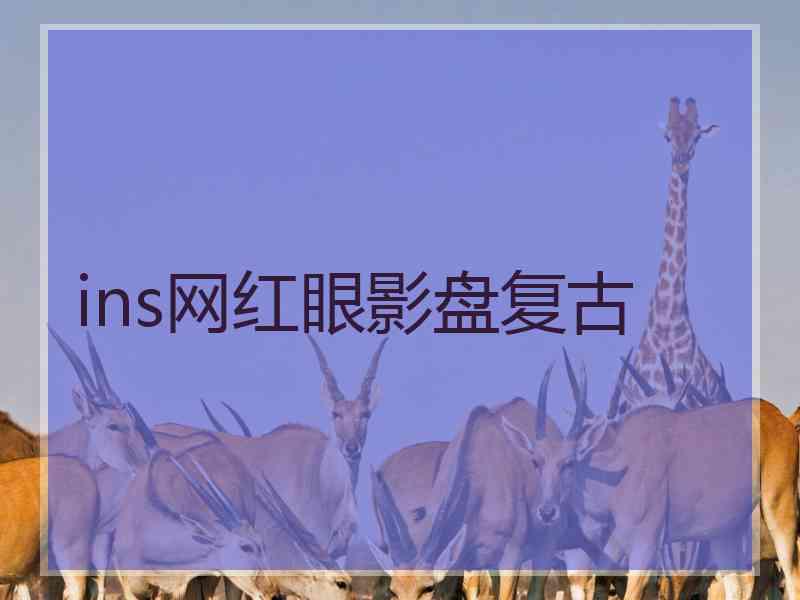 ins网红眼影盘复古 ins网红眼影盘复古