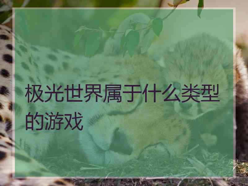 极光世界属于什么类型的游戏 极光世界属于什么类型的游戏