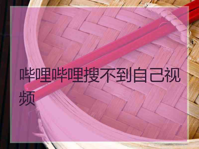 哔哩哔哩搜不到自己视频 哔哩哔哩搜不到自己视频