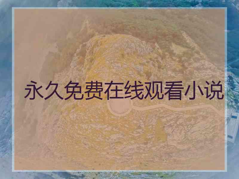 永久免费在线观看小说 永久免费在线观看小说