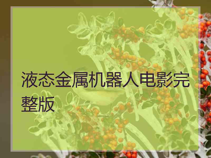 液态金属机器人电影完整版 液态金属机器人电影完整版