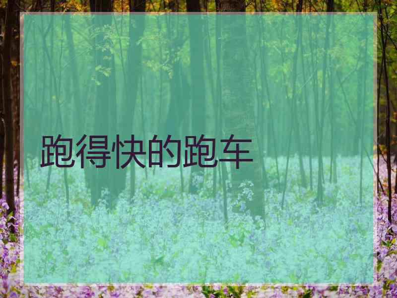 跑得快的跑车 跑得快的跑车