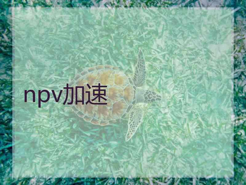 npv加速 npv加速