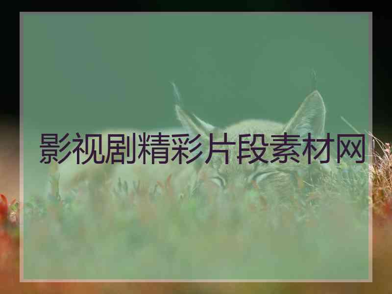 影视剧精彩片段素材网 影视剧精彩片段素材网