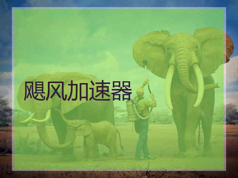 飓风加速器 飓风加速器