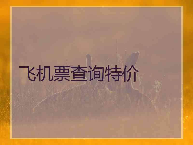 飞机票查询特价 飞机票查询特价