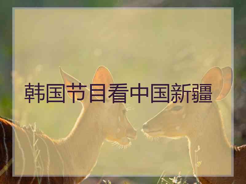 韩国节目看中国新疆 韩国节目看中国新疆