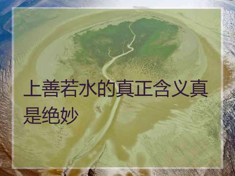 上善若水的真正含义真是绝妙 上善若水的真正含义真是绝妙