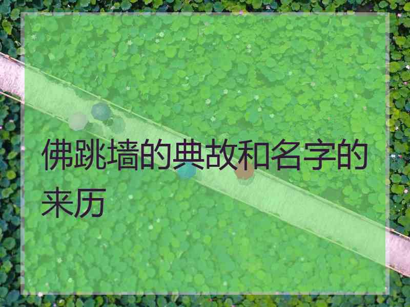 佛跳墙的典故和名字的来历 佛跳墙的典故和名字的来历