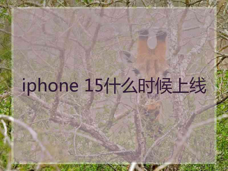 iphone 15什么时候上线 iphone 15什么时候上线