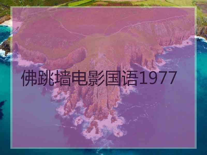 佛跳墙电影国语1977 佛跳墙电影国语1977