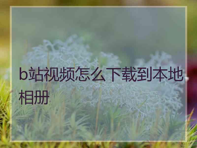 b站视频怎么下载到本地相册 b站视频怎么下载到本地相册