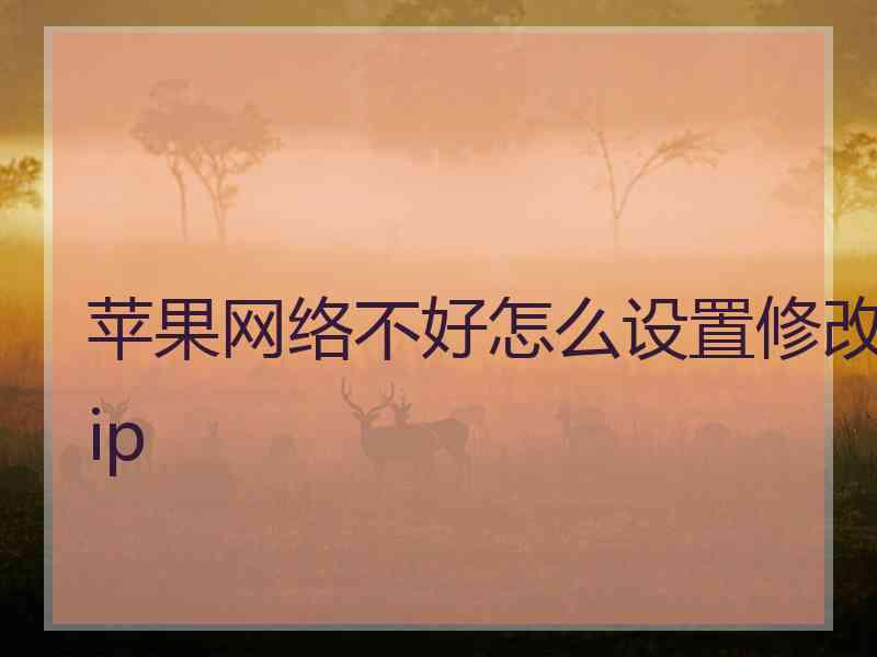 苹果网络不好怎么设置修改ip 苹果网络不好怎么设置修改ip