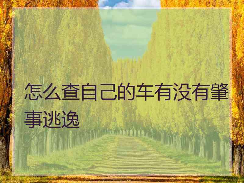怎么查自己的车有没有肇事逃逸 怎么查自己的车有没有肇事逃逸