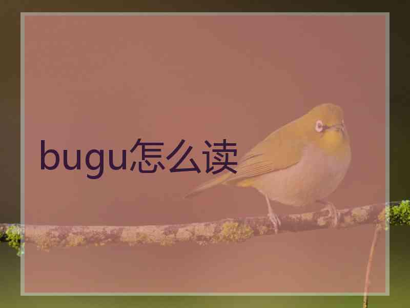 bugu怎么读 bugu怎么读