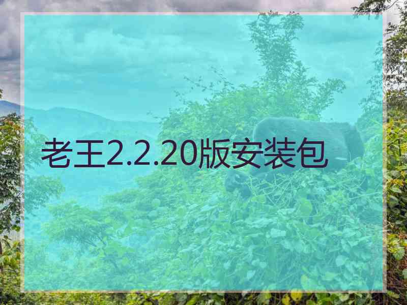 老王2.2.20版安装包 老王2.2.20版安装包